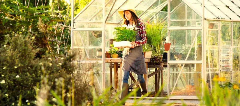 Expert landscape design in Calverton, NY - D&B Irrigation and Landscaping