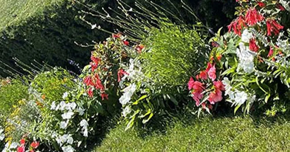 Custom landscaping services in Calverton, NY - D&B Irrigation and Landscaping