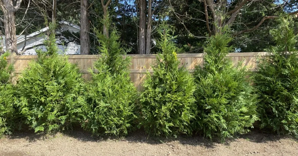 Custom yard maintenance for beautiful yards across Calverton, NY - D&B Irrigation and Landscaping