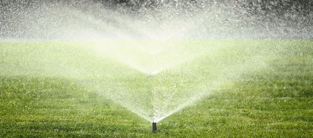 Custom garden landscaping for outdoor upgrades in Calverton, NY by D&B Irrigation and Landscaping