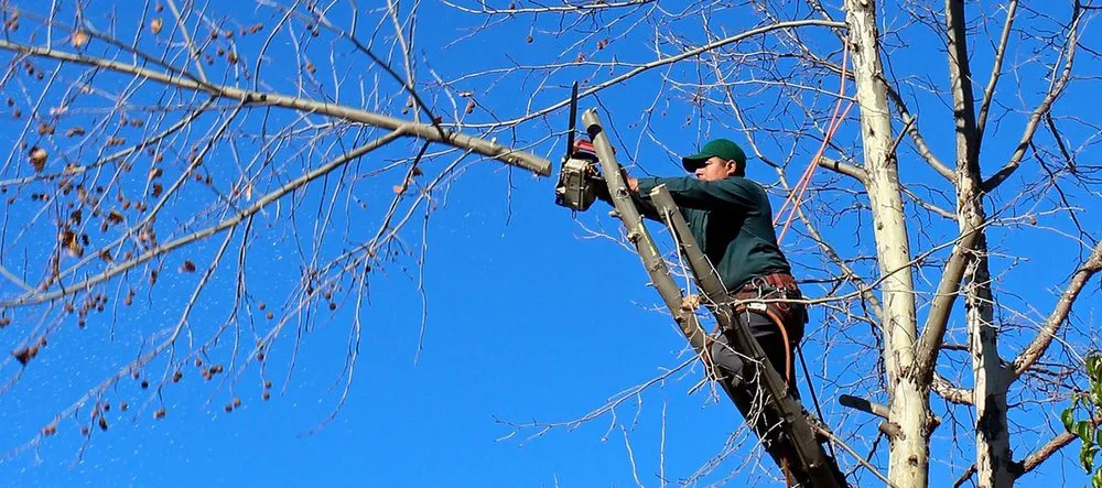 Local lawn care service for beautiful yards across Calverton, NY - D&B Irrigation and Landscaping