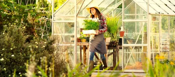 D&B Irrigation and Landscaping