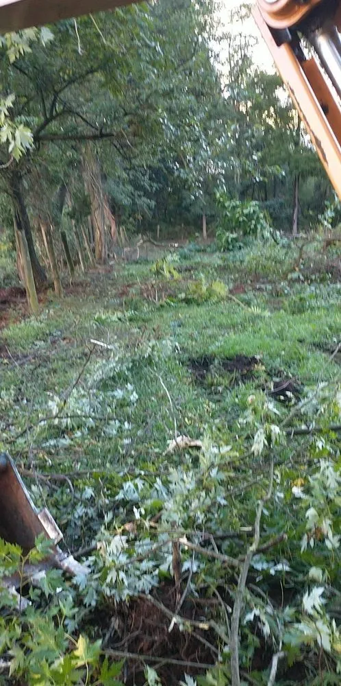 Custom yard maintenance in Union Bridge, MD by D&B Land Clearing