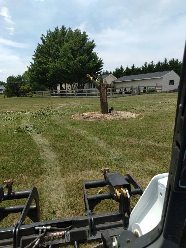 Local landscaping services in Union Bridge, MD - D&B Land Clearing