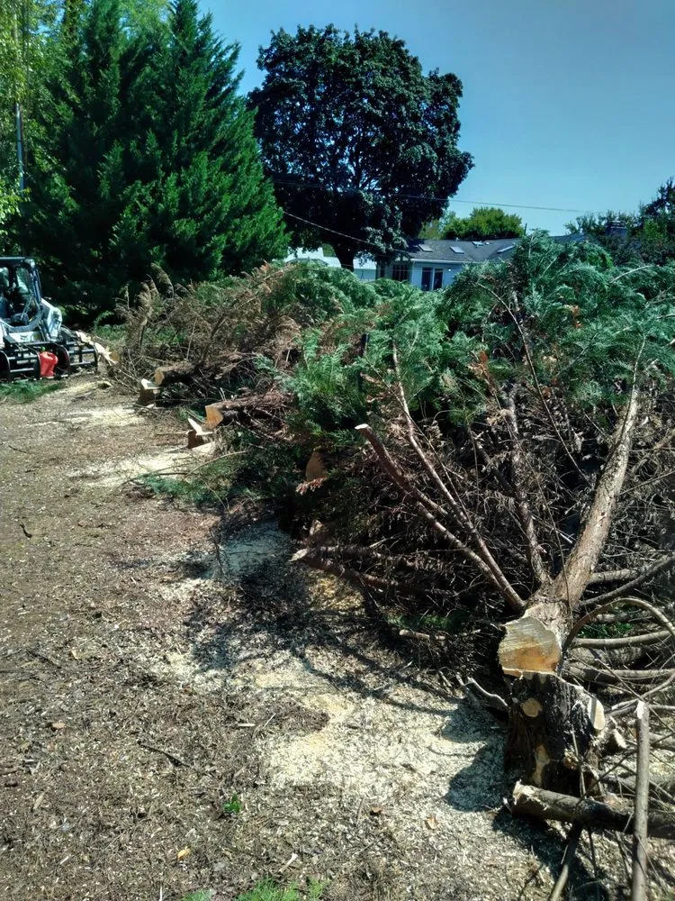 Reliable yard maintenance for beautiful yards across Union Bridge, MD - D&B Land Clearing