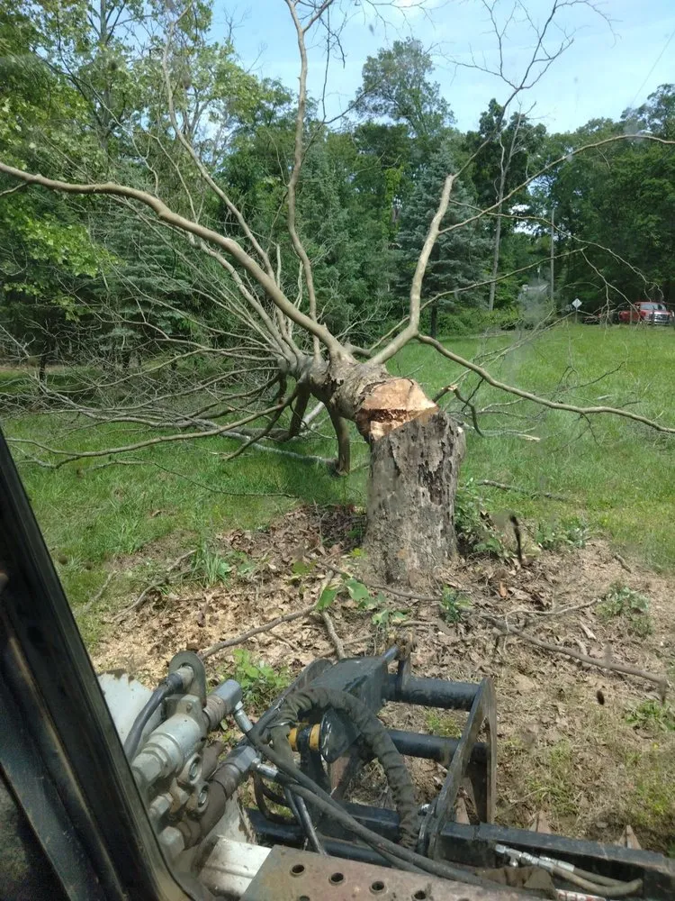 Local yard cleanup service for residential properties in Union Bridge, MD by D&B Land Clearing