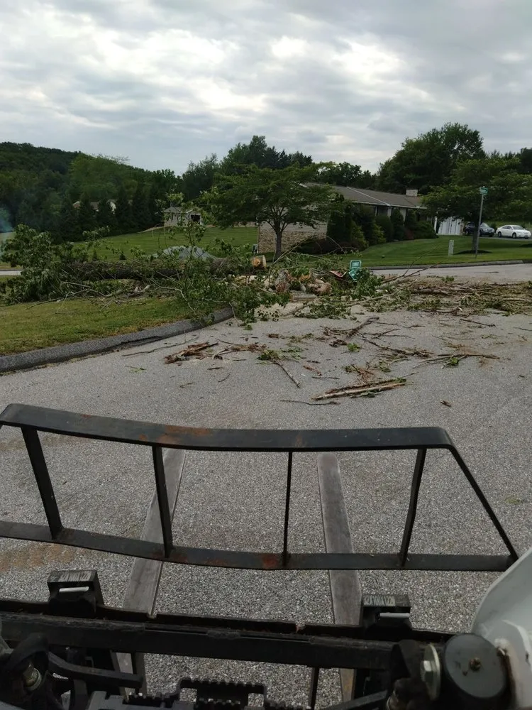 Local yard cleanup service in Union Bridge, MD by D&B Land Clearing