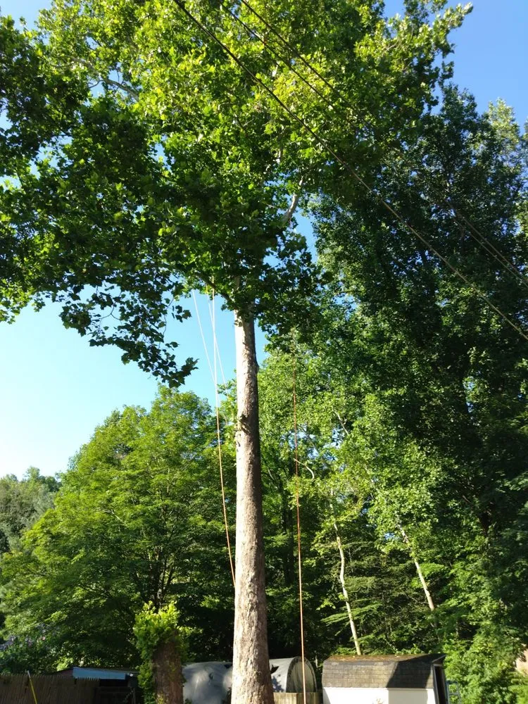 Expert landscaping services experts serving Union Bridge, MD - D&B Land Clearing