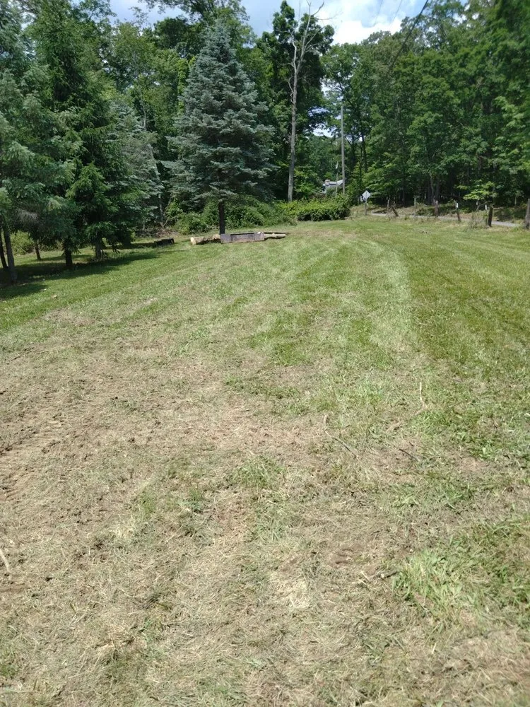Professional residential landscaping for year-round maintenance across Union Bridge, MD - D&B Land Clearing