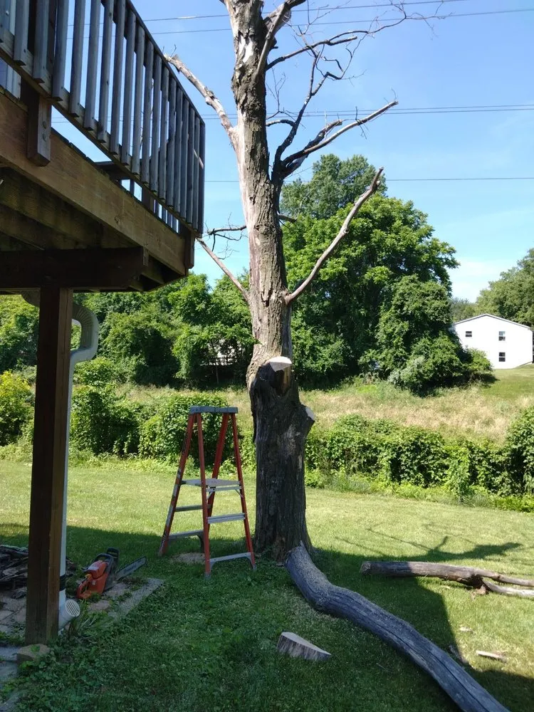 Top-rated landscape installation in Union Bridge, MD - D&B Land Clearing