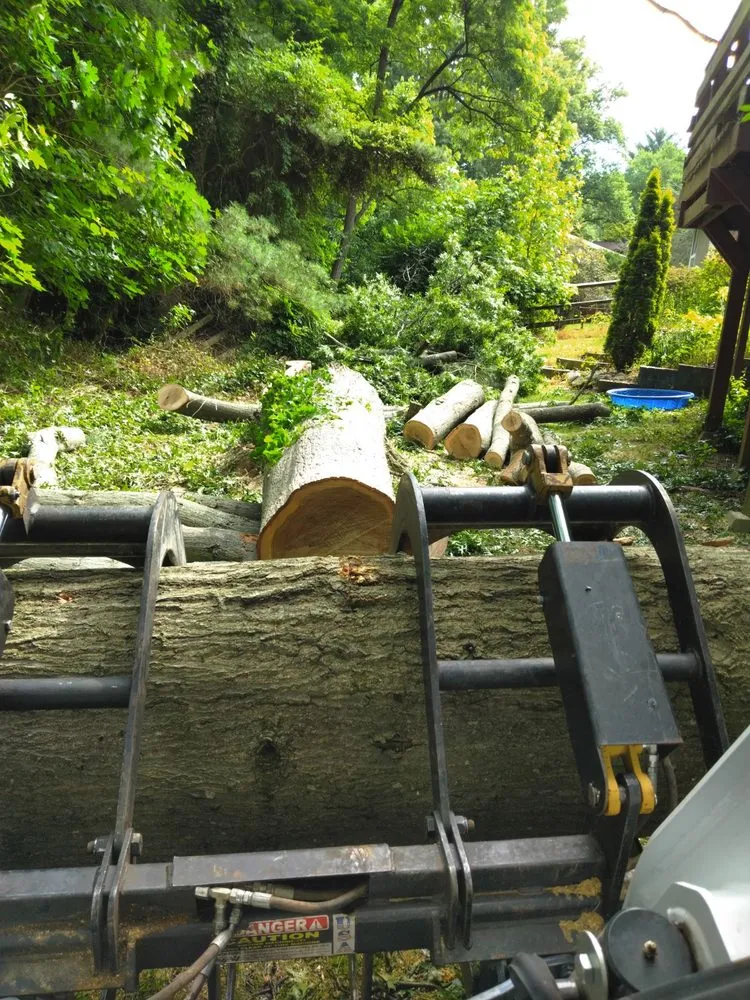 Affordable landscaping services experts serving Union Bridge, MD - D&B Land Clearing
