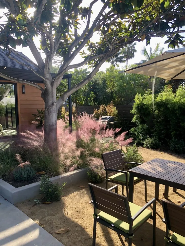 Top-rated yard cleanup service in Encinitas, CA by DB Landscape Co.