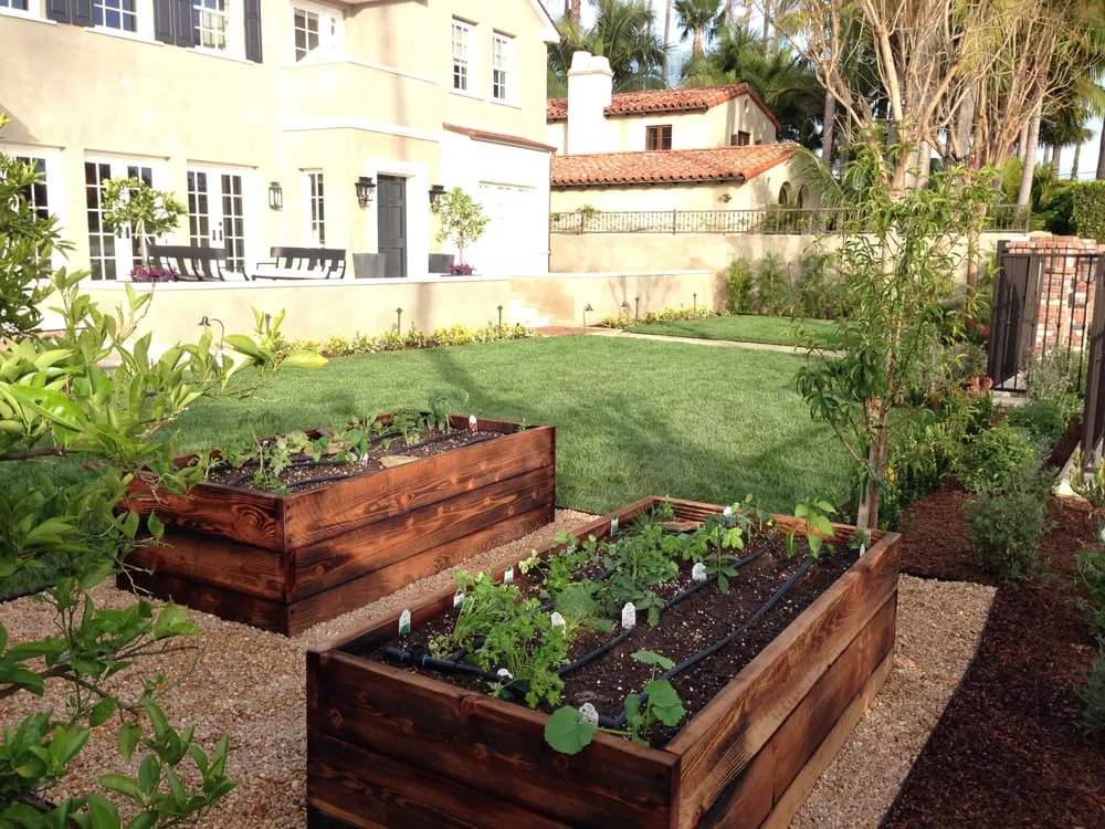 Professional lawn care service in Encinitas, CA by DB Landscape Co.