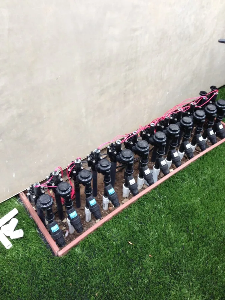 Trusted yard cleanup service for outdoor upgrades across Encinitas, CA - DB Landscape Co.