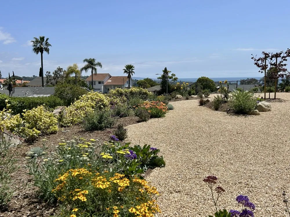 Affordable landscape installation in Encinitas, CA by DB Landscape Co.