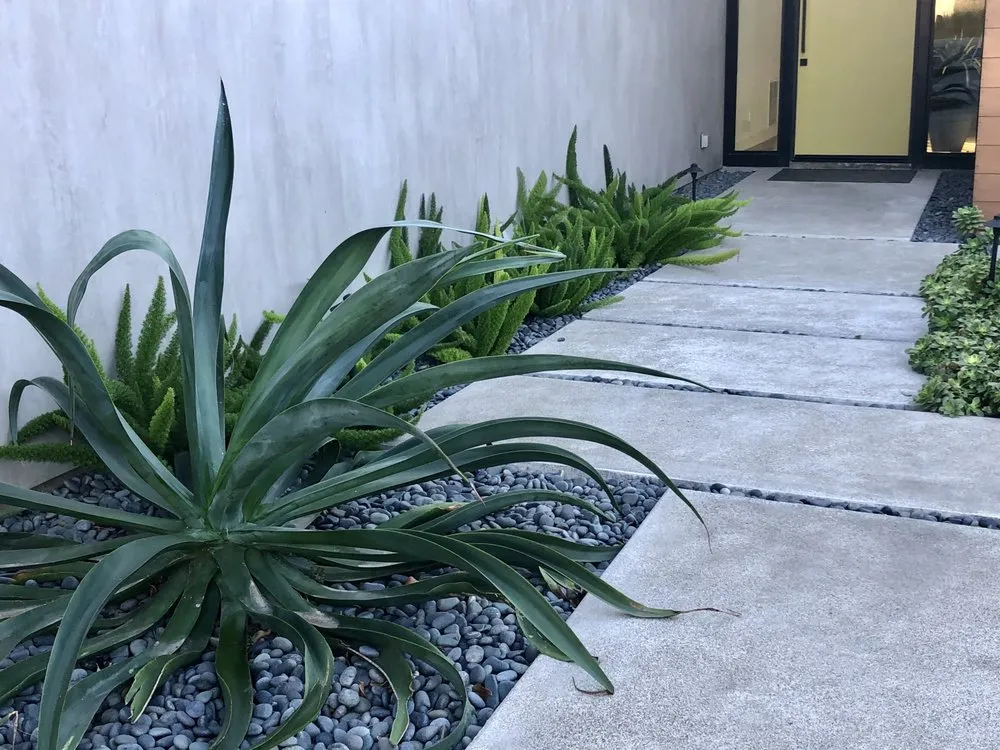 Trusted yard cleanup service in Encinitas, CA - DB Landscape Co.