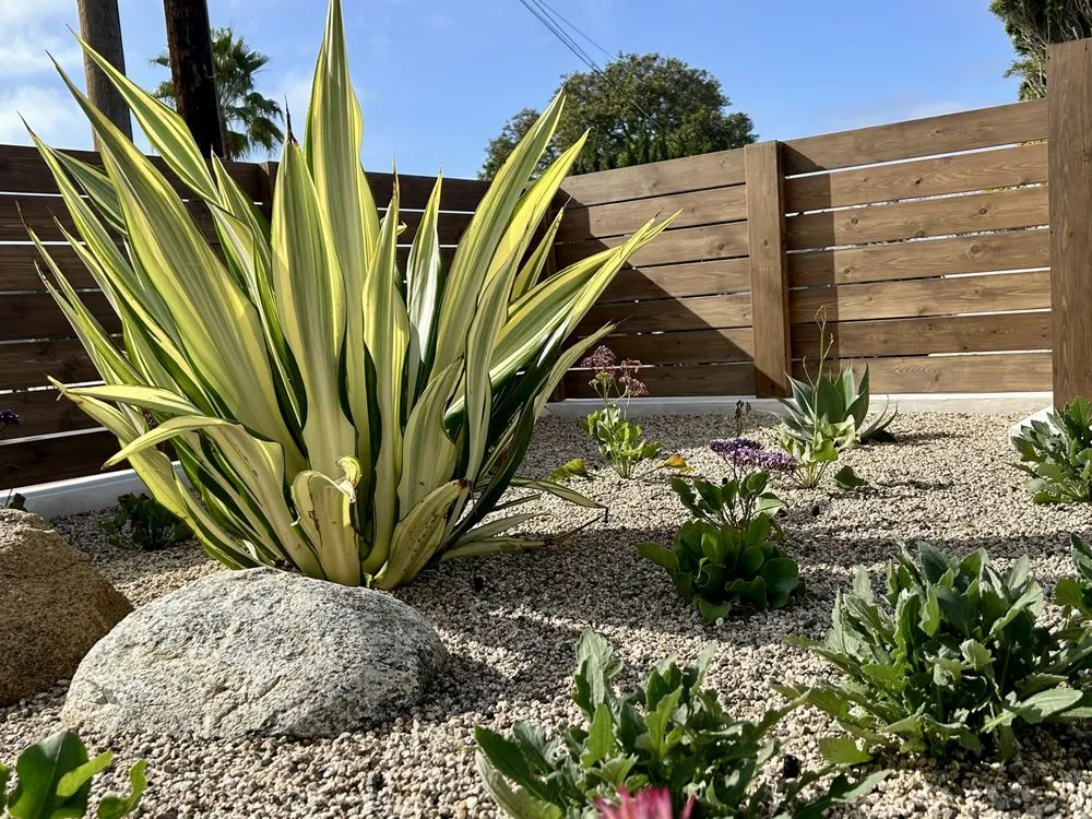 Custom landscape installation near you in Encinitas, CA by DB Landscape Co.