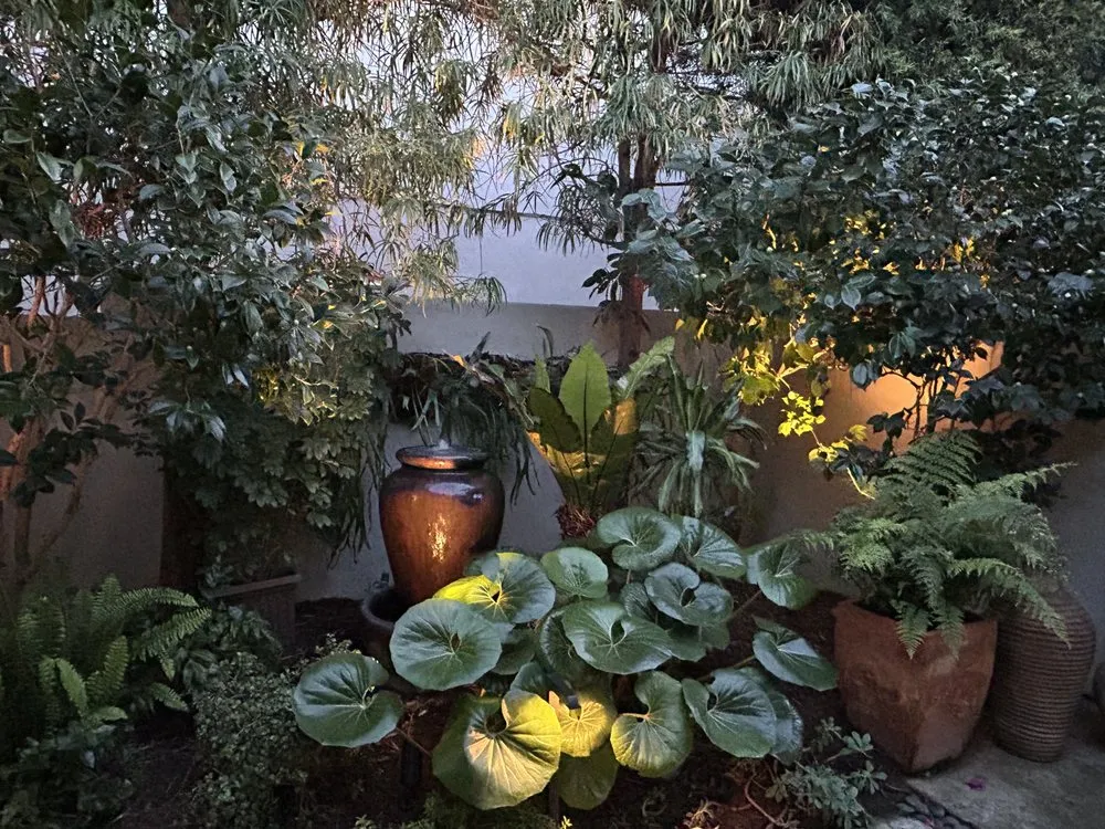 Professional lawn mowing service in Encinitas, CA - DB Landscape Co.