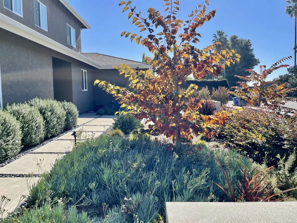 Professional outdoor landscaping in Encinitas, CA - DB Landscape Co.