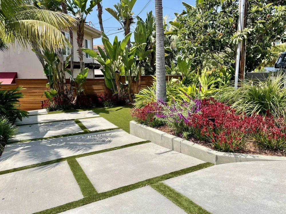 Trusted yard cleanup service near you across Encinitas, CA - DB Landscape Co.