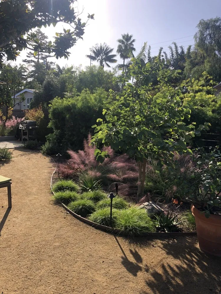 Expert lawn care service for beautiful yards across Encinitas, CA - DB Landscape Co.