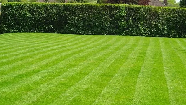 Local landscape design in Stratford, CT by D&B Landscape Contractors