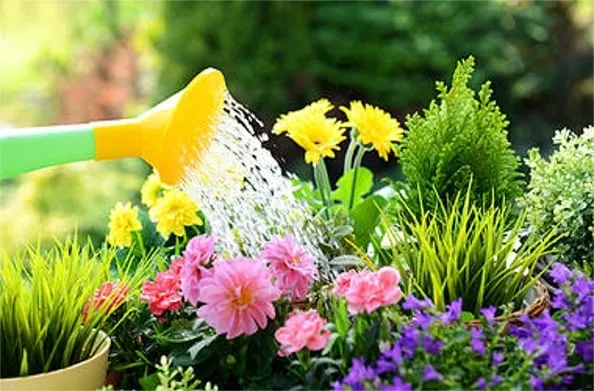 Local yard cleanup service in Stratford, CT by D&B Landscape Contractors