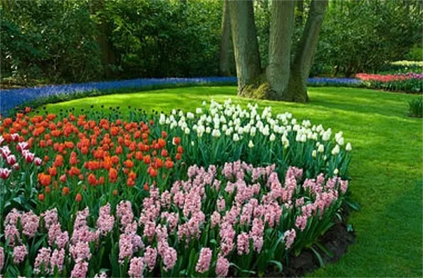 Local garden landscaping in Stratford, CT by D&B Landscape Contractors