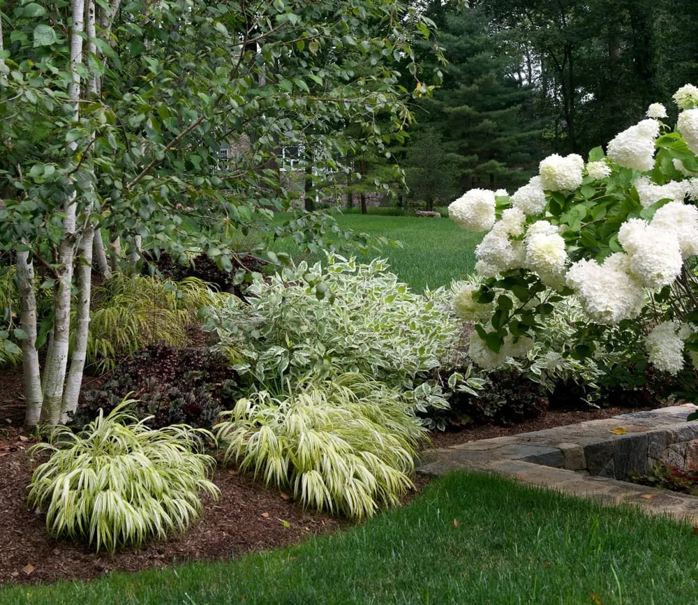 Top-rated landscaping services for residential properties across New Canaan, CT - db landscape designs