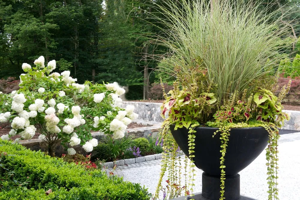Expert landscaping services in New Canaan, CT by db landscape designs