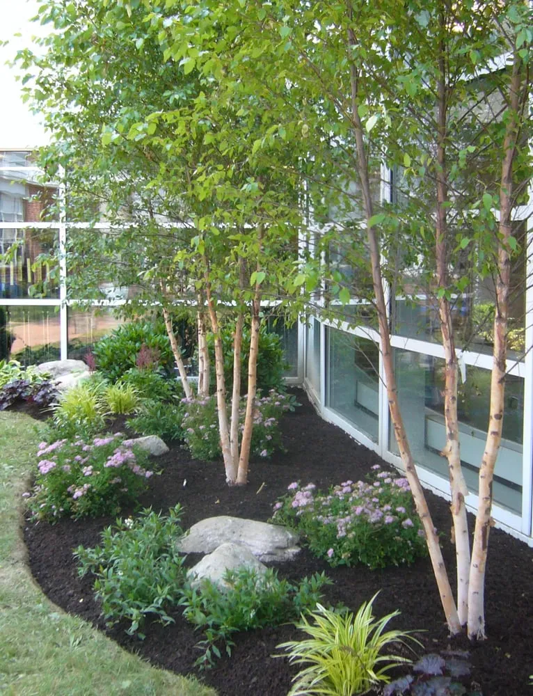 Professional landscape installation with custom design in New Canaan, CT by db landscape designs