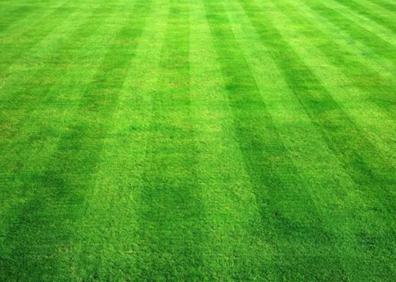 Reliable landscape installation in Wolcott, CT - DB Landscape