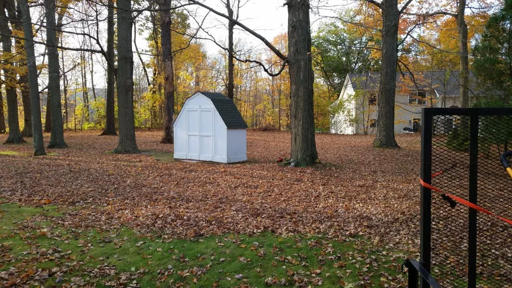 Expert yard cleanup service for beautiful yards across Wolcott, CT - DB Landscape