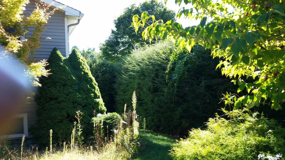 Affordable residential landscaping in Wolcott, CT by DB Landscape