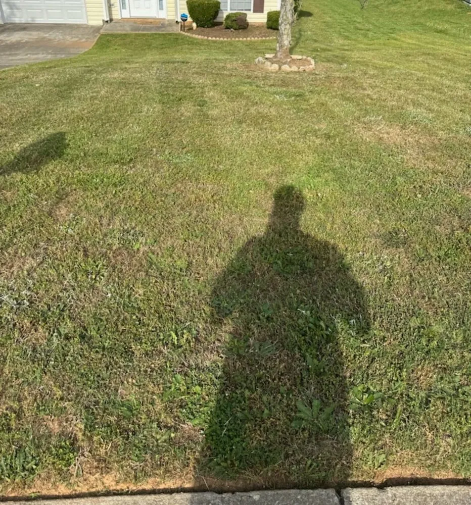 Trusted landscaping services experts serving Rex, GA - DB Landscaping and Hauling