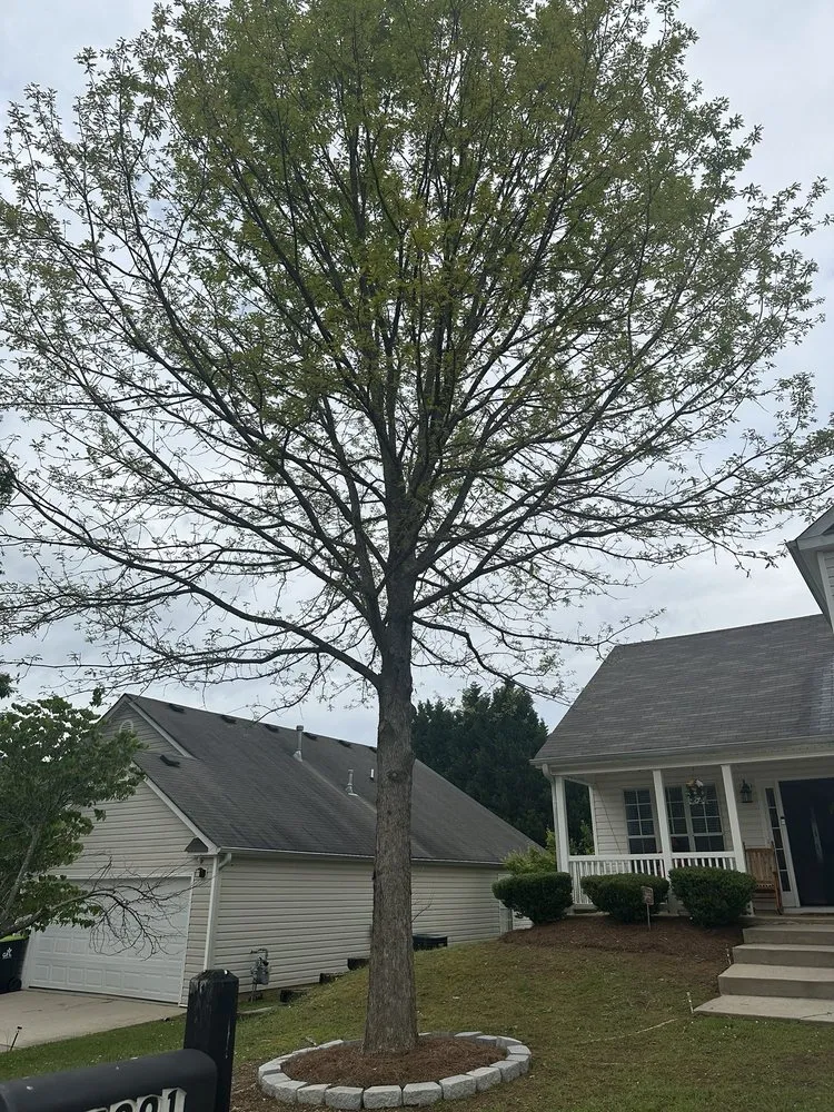 Expert outdoor landscaping in Rex, GA - DB Landscaping and Hauling