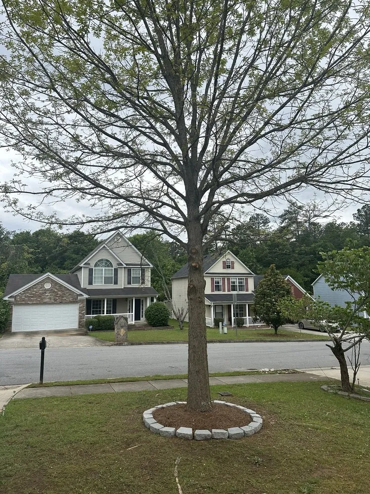 Top-rated lawn care service in Rex, GA - DB Landscaping and Hauling
