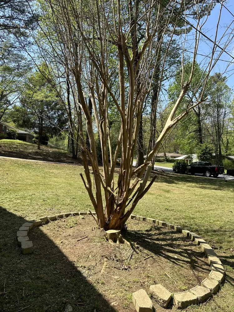 Affordable garden landscaping with custom design in Rex, GA by DB Landscaping and Hauling