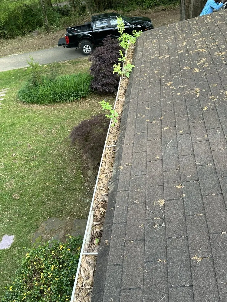 Reliable lawn care service for residential properties across Rex, GA - DB Landscaping and Hauling