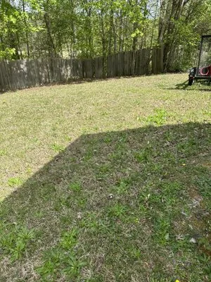 DB Landscaping and Hauling Logo