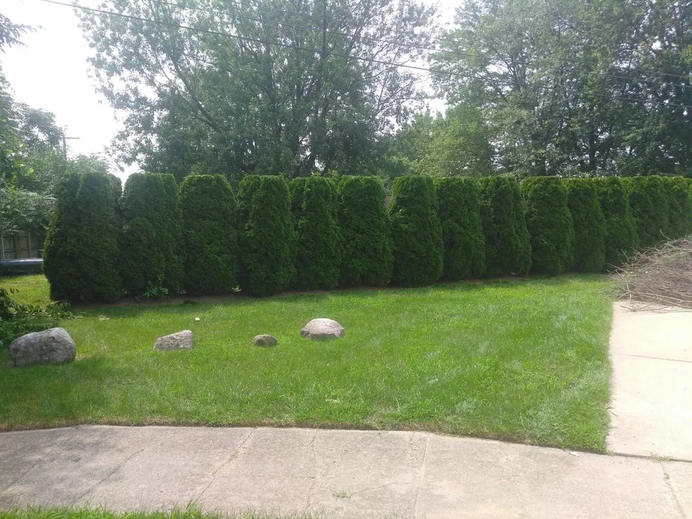 Expert yard cleanup service in Inkster, MI by DB Landscaping And Snow Removal