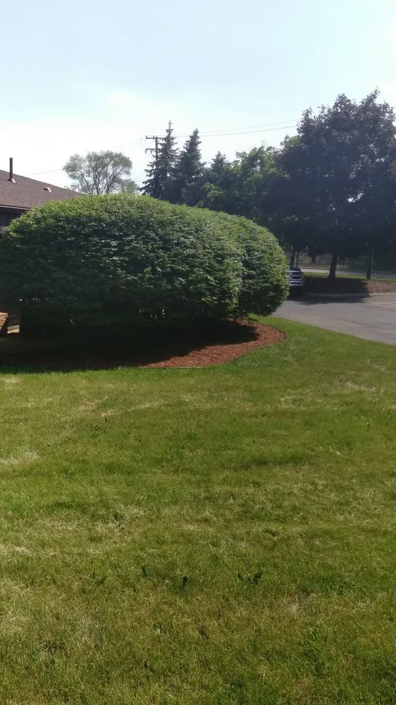 Top-rated lawn care service in Inkster, MI by DB Landscaping And Snow Removal