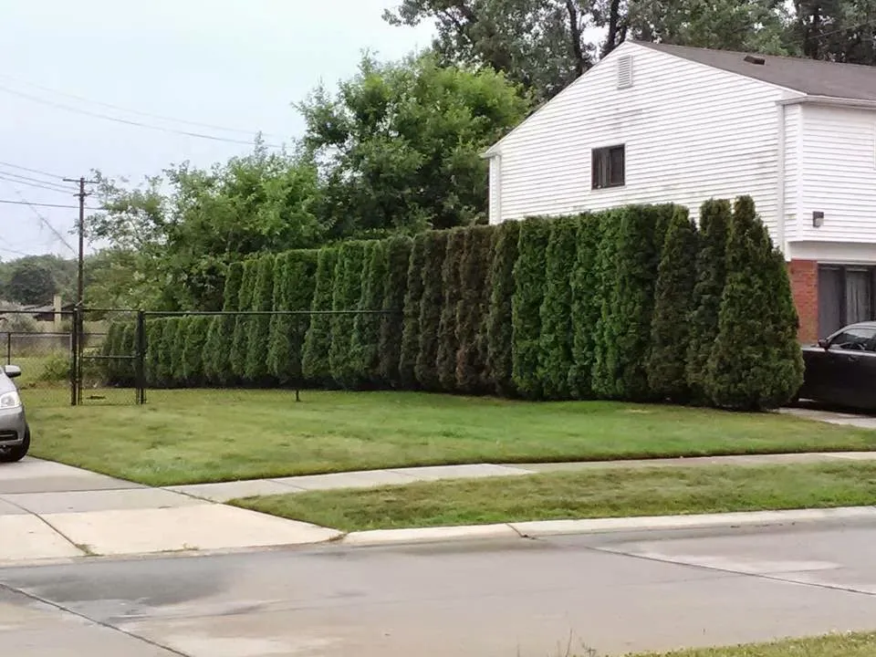 Professional landscape design for outdoor upgrades in Inkster, MI by DB Landscaping And Snow Removal