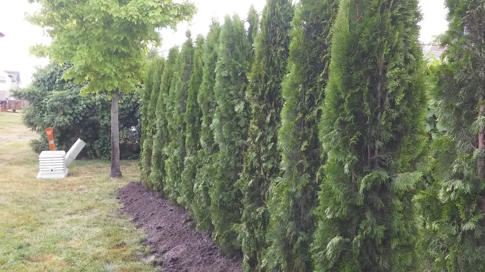 Professional outdoor landscaping for residential properties in Inkster, MI by DB Landscaping And Snow Removal