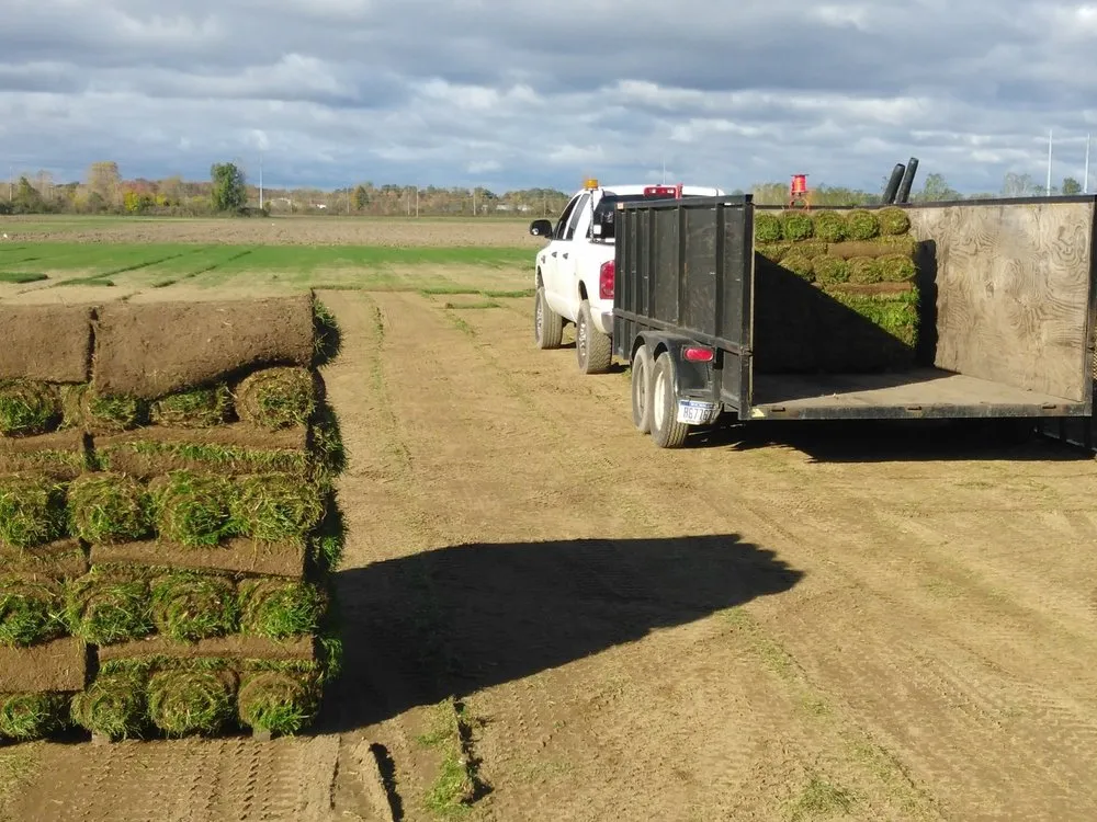 Expert outdoor landscaping with custom design in Inkster, MI by DB Landscaping And Snow Removal