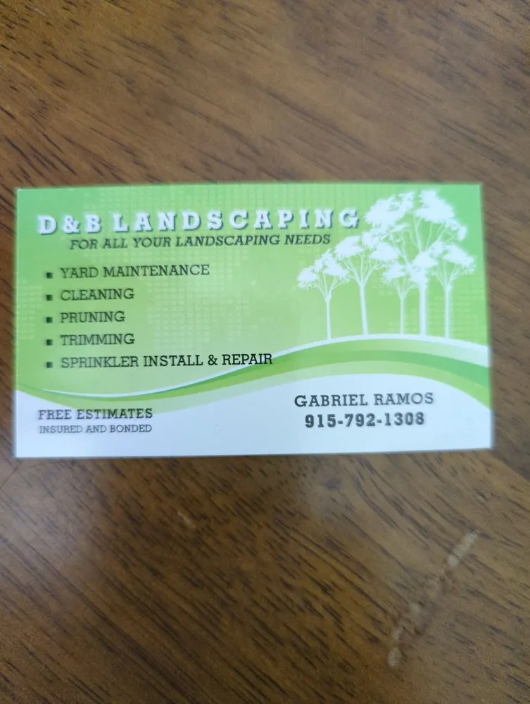 Custom garden landscaping in Canutillo, TX by D&B Landscaping