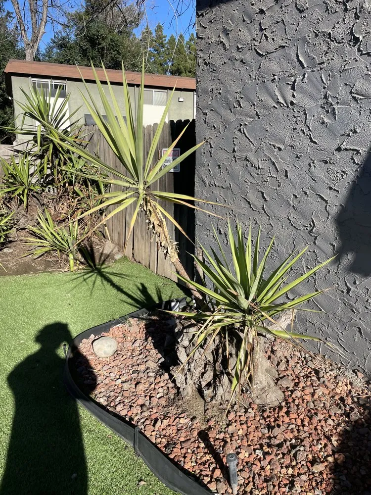 Local outdoor landscaping in Chico, CA - DB Landscaping