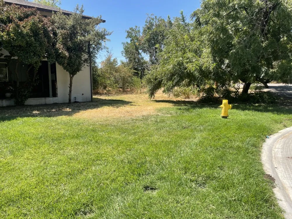 Affordable lawn mowing service in Chico, CA - DB Landscaping