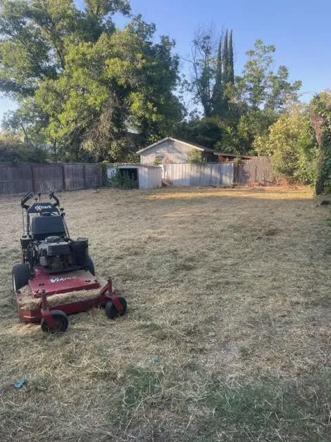 Affordable outdoor landscaping in Chico, CA by DB Landscaping