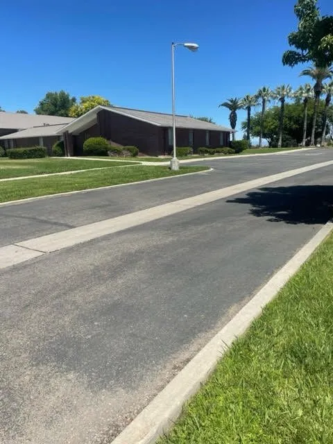 Top-rated yard cleanup service in Chico, CA - DB Landscaping